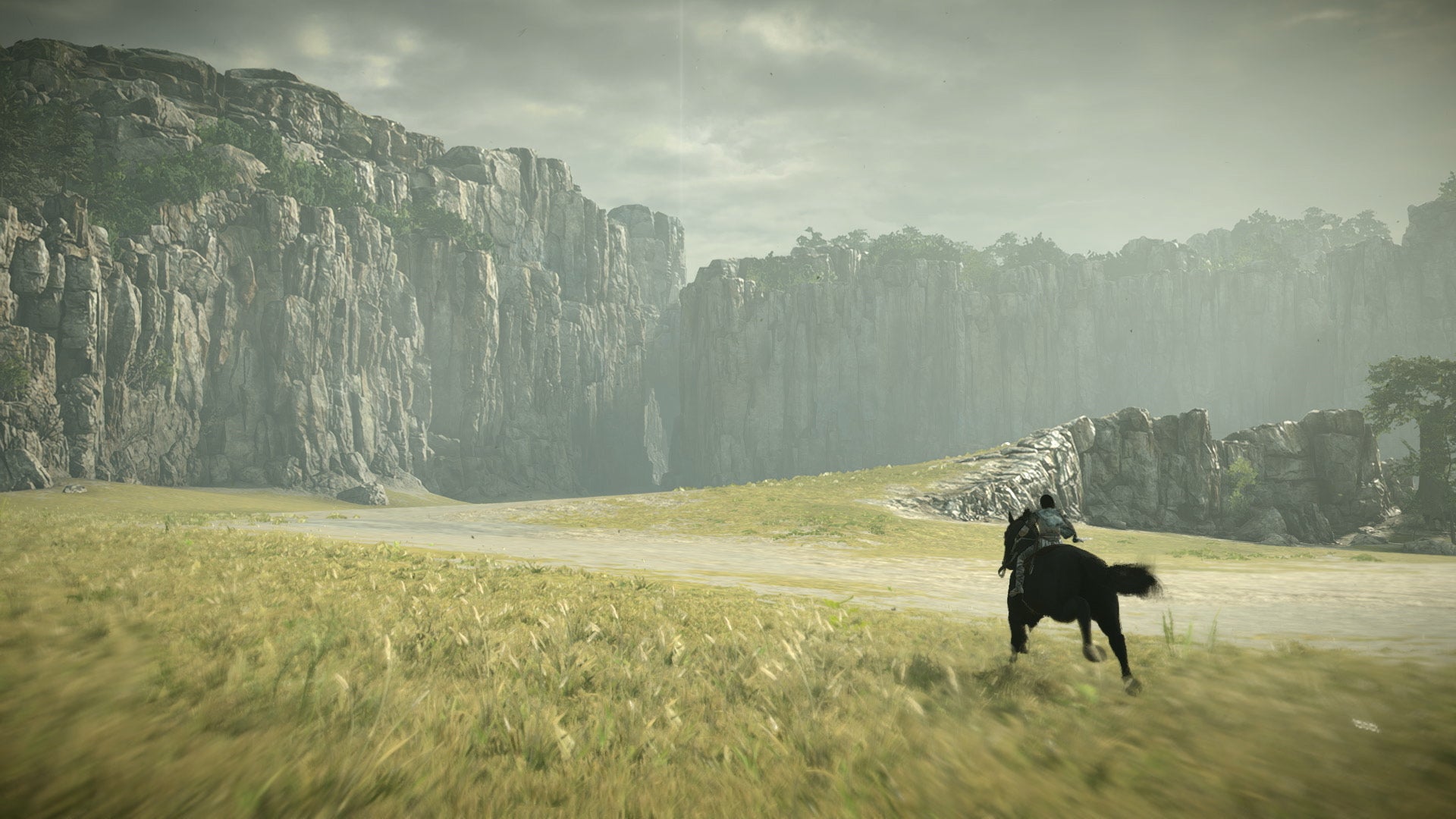 shadow of the colossus wiki